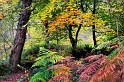 paysage 1_11_11n01bis